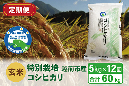 〈先行予約〉【定期便12回】（令和5年度新米 玄米）特別栽培 越前市産コシヒカリ 5kg×12回