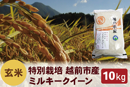【令和5年度新米 玄米】特別栽培 越前市産ミルキークイーン 10kg