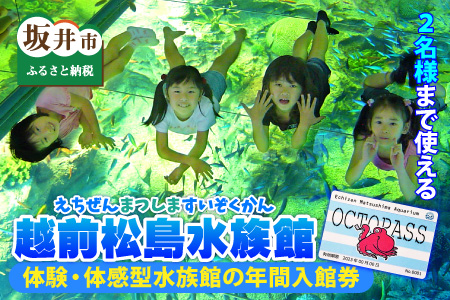 【越前松島水族館】 特別年間パスポート「オクトパス」【J-11101】