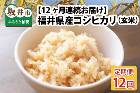 【定期便】《無洗米》さがびより５kg×６回 B367