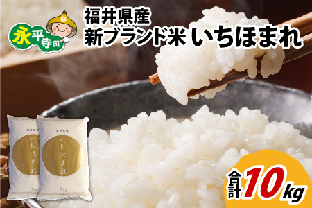 令和5年度産 福井県産新ブランド米 いちほまれ 10kg（5kg×2袋）[B-002027]