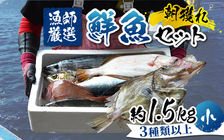 【朝獲り】漁師厳選 鮮魚セット (小) 3種類以上 約1.5kg [C-018002]