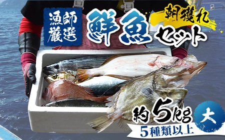 【朝獲り】漁師厳選 鮮魚セット (大) 5種類以上 約5kg [E-018001]