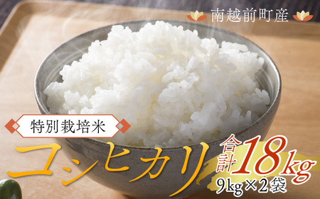 令和5年度産 特別栽培米 コシヒカリ 18kg（9kg×2袋）[C-012004]