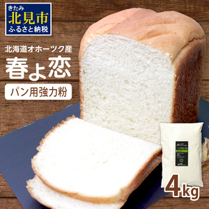 【北海道オホーツク産】パン用強力粉 春よ恋 4kg　※賞味期限30日保証