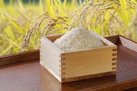 43 浦臼産特別栽培米ななつぼし　精白米 １５kg 