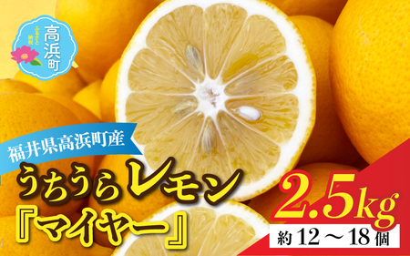 【先行予約】日本海で育ったうちうらレモン「マイヤー2.5kg」皮まで丸ごと食べられます！【11月中旬より順次発送】