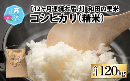 【令和5年産】【12ヶ月定期便】和田の里米 コシヒカリ 白米(精米) 10kg×12回 計120kg