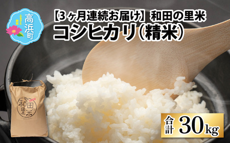 【令和5年産】【3ヶ月定期便】和田の里米 コシヒカリ 白米(精米) 10kg×3回 計30kg
