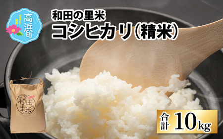 【令和5年産】和田の里米 コシヒカリ 精米 10kg