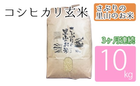 定期便 【3ヶ月連続】さぶりの里山のお米　コシヒカリ玄米　10kg
