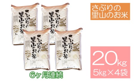 定期便 【6ヶ月連続】さぶりの里山のお米　コシヒカリ精米　5kg×4袋セット（20kg）