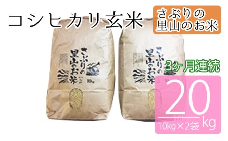 定期便 【3ヶ月連続】さぶりの里山のお米　コシヒカリ玄米 10kg×2袋（20kg）