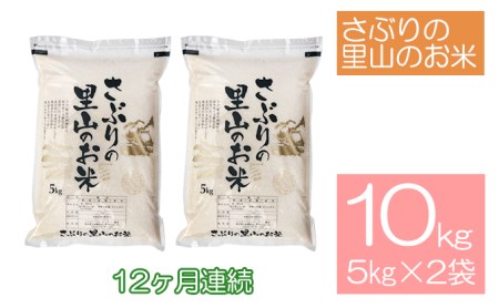 定期便 【12ヶ月連続】さぶりの里山のお米　コシヒカリ精米　5kg×2袋（10kg）