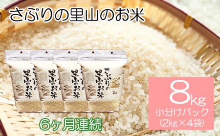 定期便 【6ヶ月連続】さぶりの里山のお米　コシヒカリ精米　小分けパックのセット　8kg