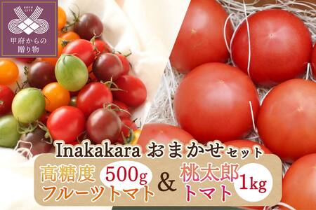 2024年4月より発送！Inakakaraおまかせ高糖度フルーツトマト500gと桃太郎トマト1kgのセット