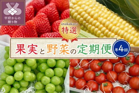 Inakakara特選！人気の果実と野菜の定期便（年４回）