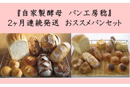 【2ヶ月連続】自家製酵母パン（1回目14個＋2回目11個）