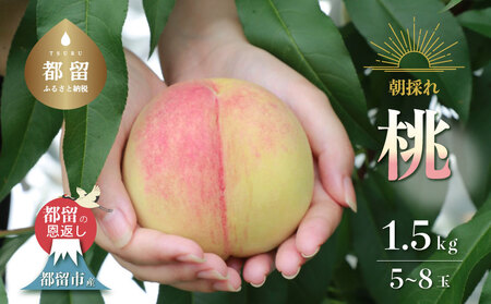 【2024年 先行予約】日本一の産地 山梨県産　朝採れ桃 約1.5kg (５～８玉）