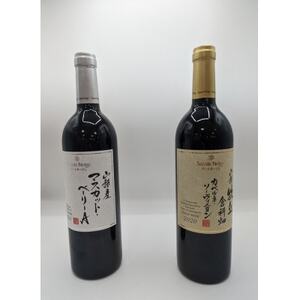 【山梨市産】赤ワインセット(5)【1490190】