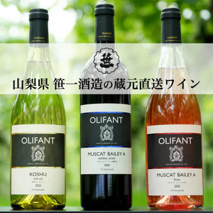 【蔵元直送】笹一酒造のOLIFANT(オリファン)ワイン＜赤・白・ロゼ＞3本セット