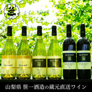 【蔵元直送】笹一酒造・OLIFANT(オリファン)ワイン 750ml×6本セット