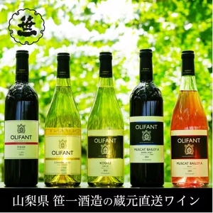 【蔵元直送】笹一酒造のOLIFANT(オリファン)ワイン おすすめ5本セット