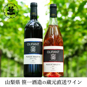 【蔵元直送】笹一酒造のOLIFANT(オリファン)ワイン＜赤・ロゼ＞飲み比べ2本セット