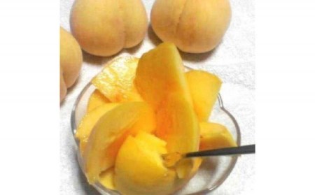 5-18  【令和6年7月下旬から8月中旬発送予定】光センサー桃「黄金桃」約3kg