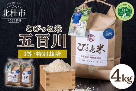 こぴっと米【五百川】4kg　１等特別栽培米100％