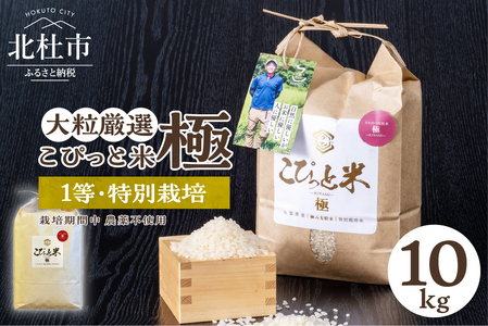 こぴっと米　栽培期間中 農薬不使用【極】10kg　大粒厳選米