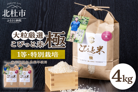 こぴっと米　栽培期間中 農薬不使用【極】4kg　大粒厳選米