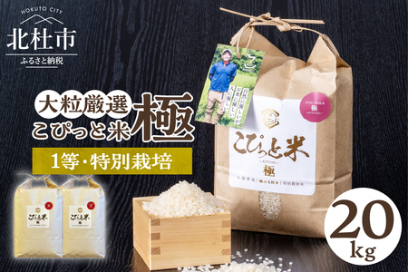 こぴっと米【極】20kg大粒厳選・１等特別栽培米100％