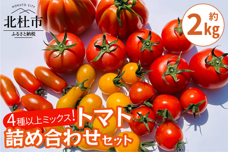 AGRIMIND　明野菜園トマト詰め合わせセット