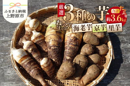 ◆◆2024年度収穫分先行予約◆◆山梨県上野原市産 厳選３種の芋（里芋・京芋・海老芋）セット 各約1.2kg×3種