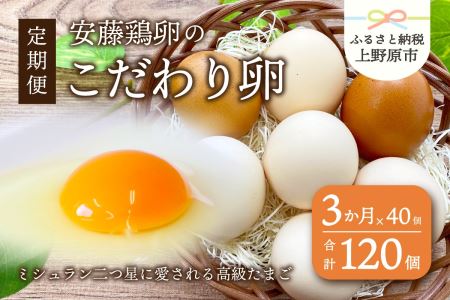 【3ヶ月お届け！】安藤鶏卵のこだわり卵 40個 美味しい卵 高級卵 濃厚鶏卵 生卵 赤玉卵 ピンク玉卵
