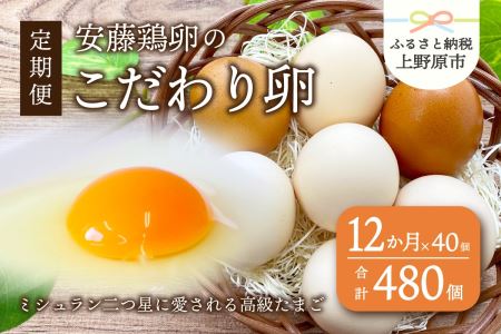 【12ヶ月お届け！】安藤鶏卵のこだわり卵 40個 美味しい卵 高級卵 濃厚鶏卵 生卵 赤玉卵 ピンク玉卵