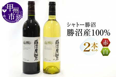 シャトー勝沼が贈る『勝沼産100％』赤白ワイン2本セット（MG）B18-650
