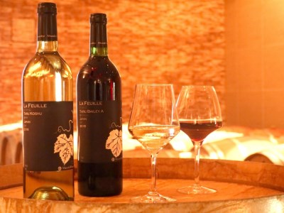 【まるき葡萄酒】ラフィーユ赤白ワイン２本セット（MG）B2-662