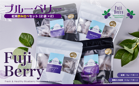 Fuji Berry ブルーベリー紅茶飲み比べセット（2袋×2） NSAA001