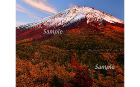 富士山フォトパネル（秋の夕暮れ） NSF003