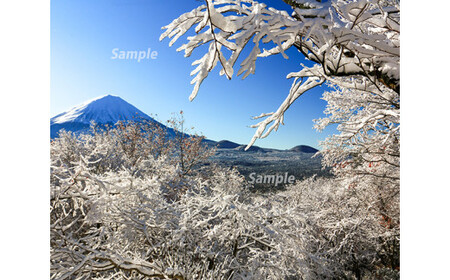 富士山フォトパネル（雪景色） NSF005