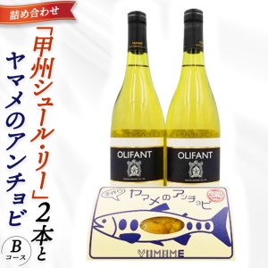笹一酒造ワイン＆ヤマメのアンチョビ詰め合わせ(Bコース)