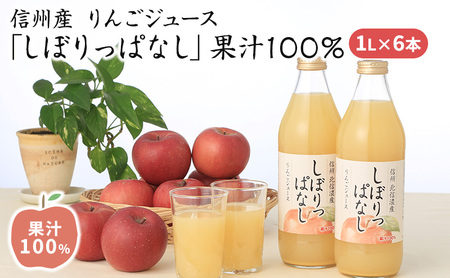 信州産 りんごジュース 「しぼりっぱなし」 果汁100％ (1L×6本)
