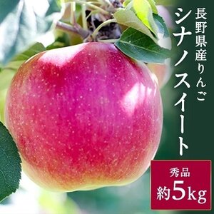 香りも良く食べやすい! 長野県産 りんご(シナノスイート)約5kg 秀品＜10月中旬～10月末発送＞【1077091】