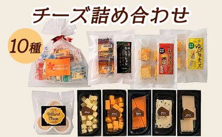 10種のチーズの詰め合わせおつまみ 詰め合わせ  セット 長野 信州 小諸