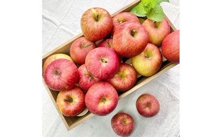 【訳あり】りんごシナノスイート約5kg