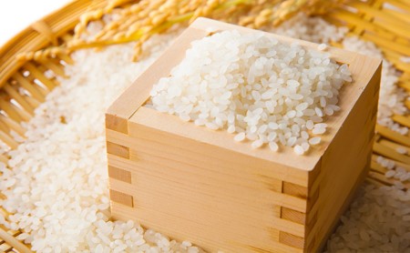 小諸産 こしひかり 10kg 長野 信州 コシヒカリ 精米 美味しいお米 お取り寄せ