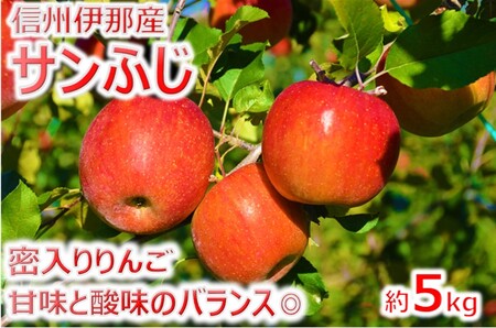 【011-52】信州のサンふじ　5キロ！（りんご・リンゴ・林檎）