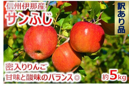 【009-39】信州のサンふじ　訳あり　5キロ！（りんご・リンゴ・林檎）